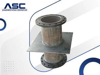 SS 317 Standard Insert Flanges
